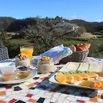 Vida Pura オデセイシェ