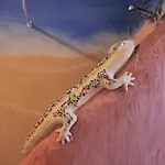 アパート Vida Pura *
