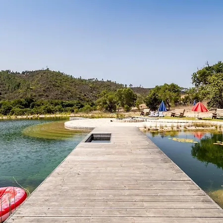 Vida Pura * オデセイシェ