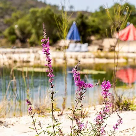 Apartment Vida Pura *