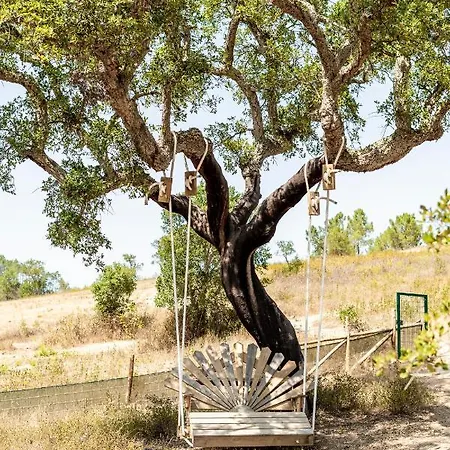 アパート Vida Pura オデセイシェ