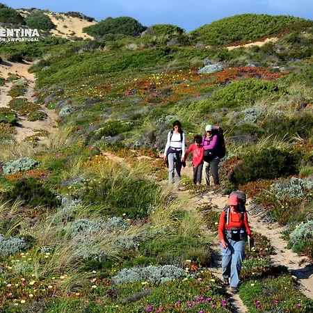 Vida Pura * Odeceixe