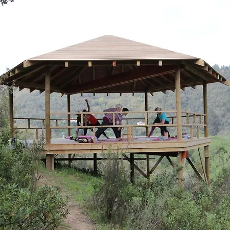 Vida Pura アパート