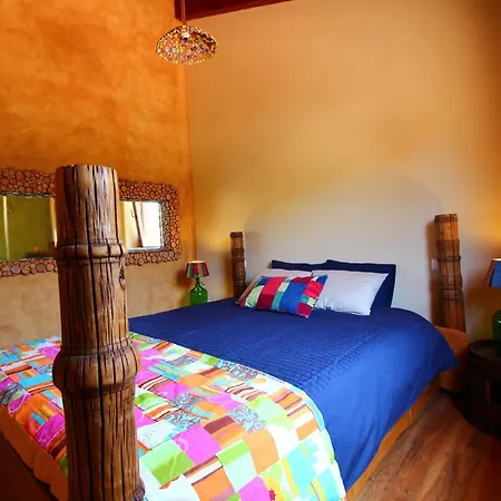 Vida Pura * オデセイシェ