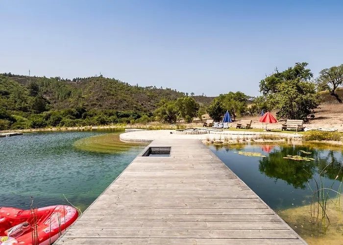 Vida Pura * 奥德赛克斯