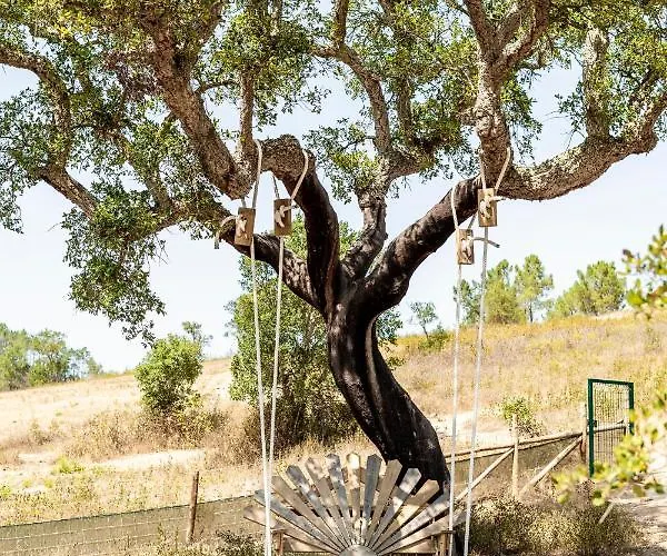 公寓 Vida Pura 奥德赛克斯