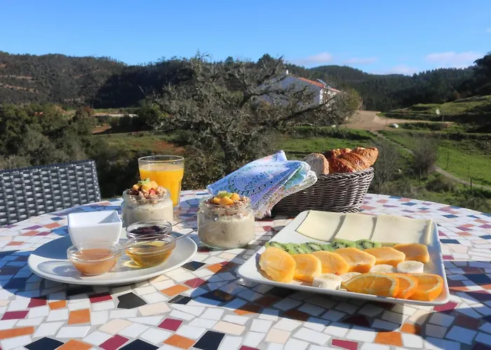 Vida Pura 奥德赛克斯