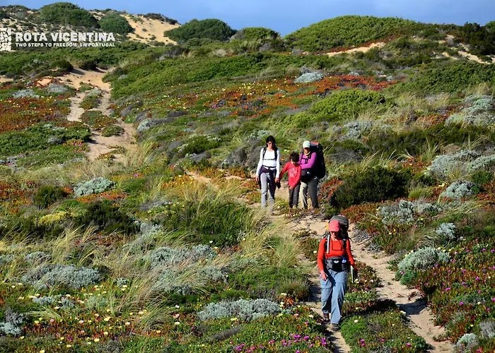 Vida Pura * 奥德赛克斯