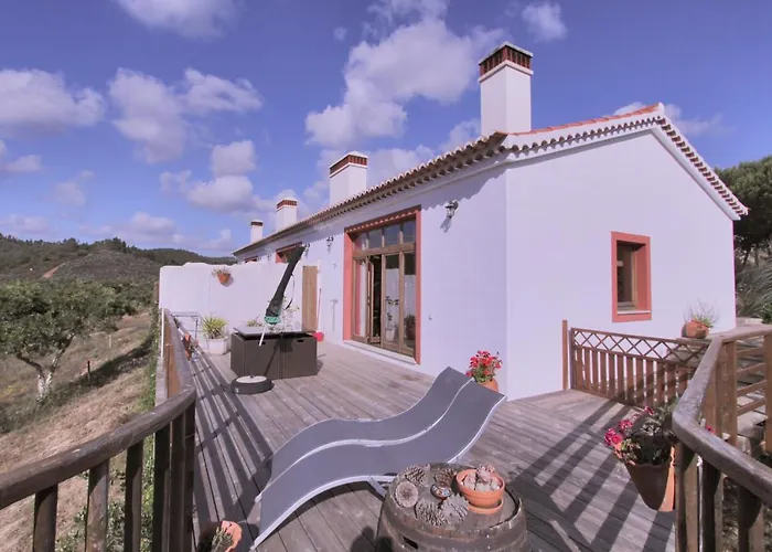 Vida Pura 奥德赛克斯