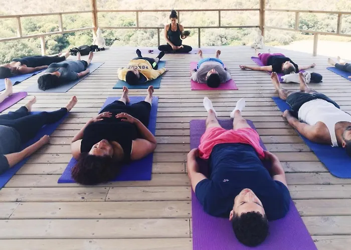 Vida Pura * 奥德赛克斯