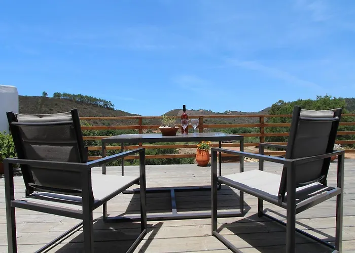 Vida Pura 奥德赛克斯