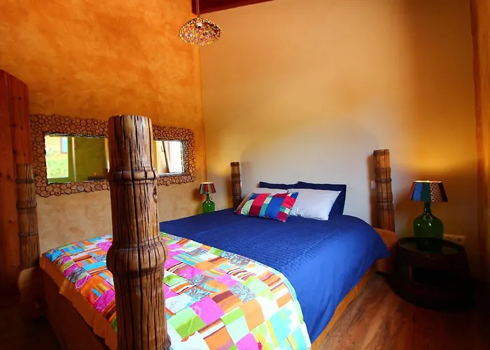 Vida Pura * 奥德赛克斯