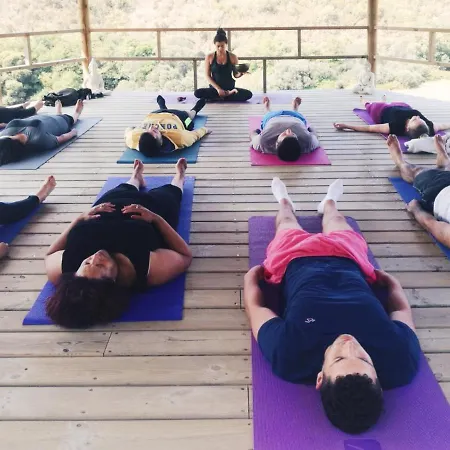 Vida Pura * Odeceixe